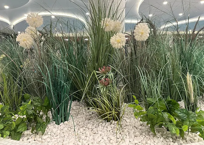 Appartement Aqua Polanki Max *